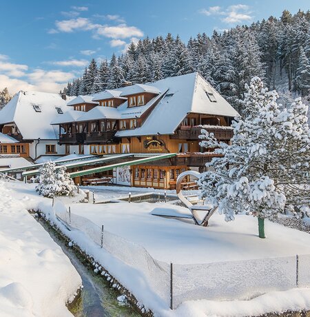 Tannenmühle im Winter